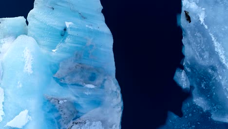 aerial view over seals on white iceberg in iceland in the blue sea. there is a glacier in the background under the sunset.