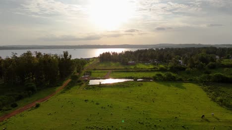 Ein-Herrlicher-Sonnenuntergang-über-Einem-üppigen-Grünen-Feld-Mit-Dem-Fluss-Und-Der-Sonne-Im-Hintergrund