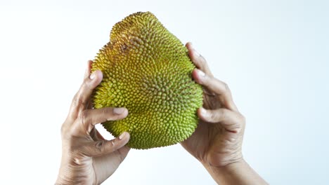 top view of men holding a jackfruit on table ,