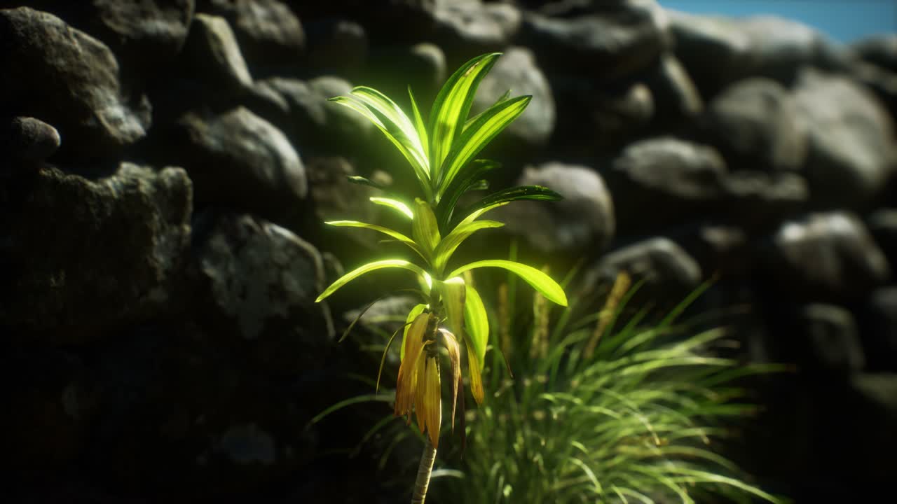 잉글랜드 북부 시골의 잔디와 돌 벽