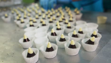 línea de producción de chocolate