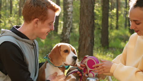 couple and beagle in forest