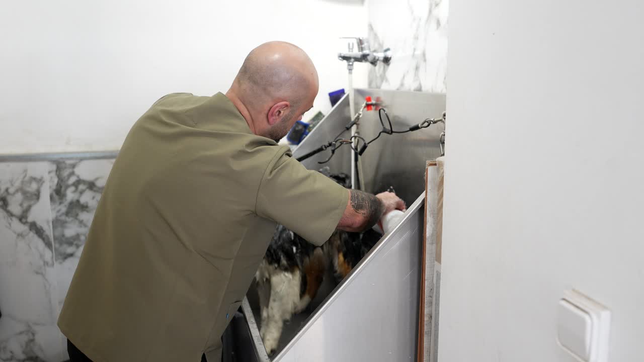 Dyrefrisør som vasker en hund med sjampo i et badekar
