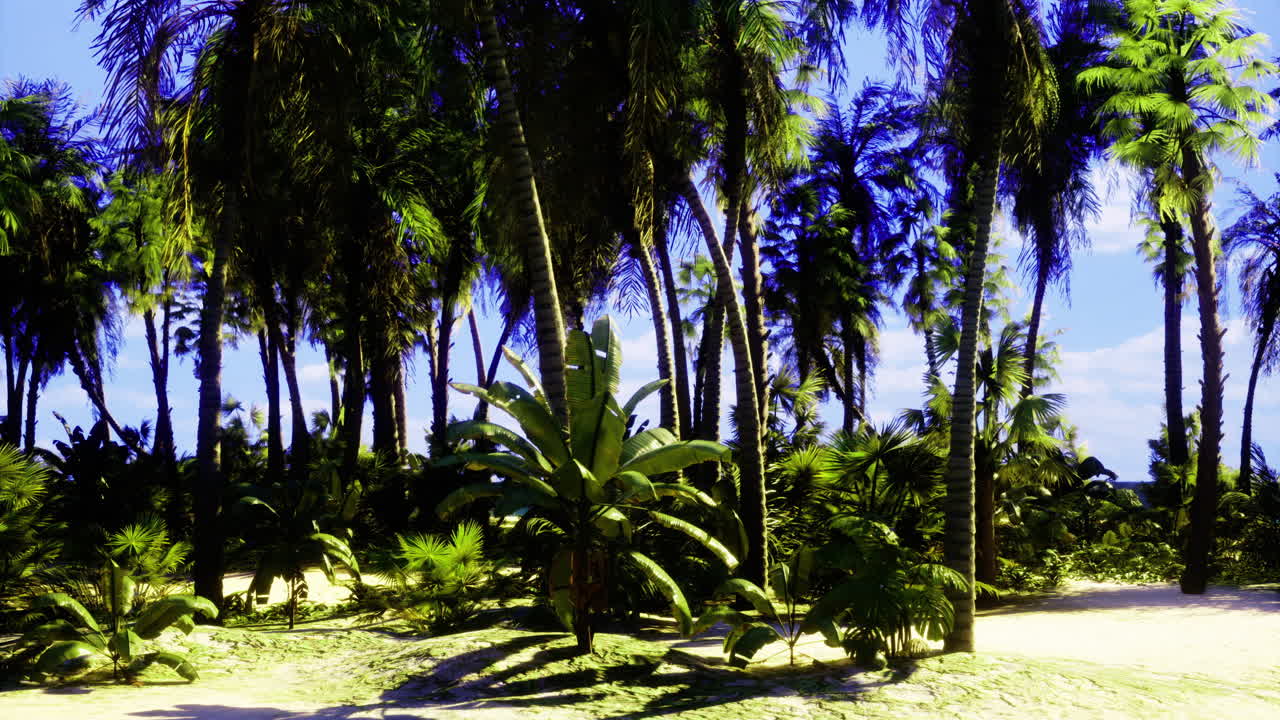 Lush tropical landscape showcasing palm trees with clear blue sky overhead