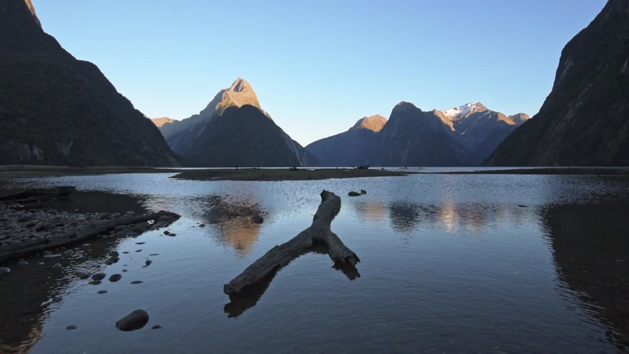 Sunrise in the Milford Sound, New Zealand. Wide angle view of a branch lying in the water. Reflecting mountains in the distance