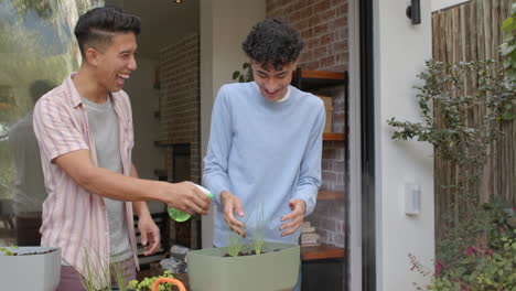 Gardening together, multiracial gay couple watering plants and enjoying time at home