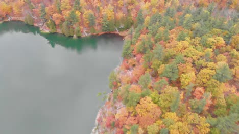 rising aerial footage over trees beside pink lake and mountains in