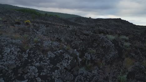 Biodiversity-Volcanic-landscape-on-Etna-Volcano-surroundings