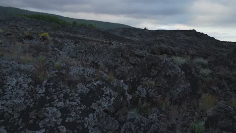 paisaje volcánico de biodiversidad en los alrededores del volcán etna