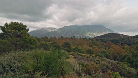 Drone-moving-along-the-forest-on-a-cloudy-day