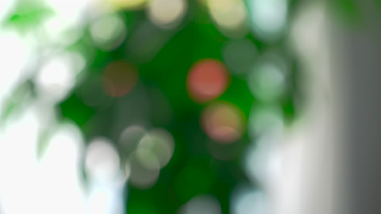 BOKEH 01
