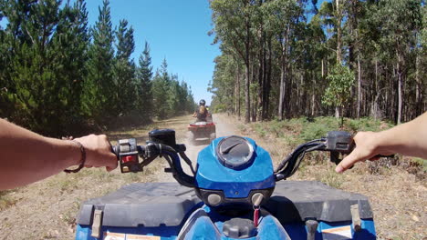 off-road forest exploration by driving a 4x4 quad, pov view