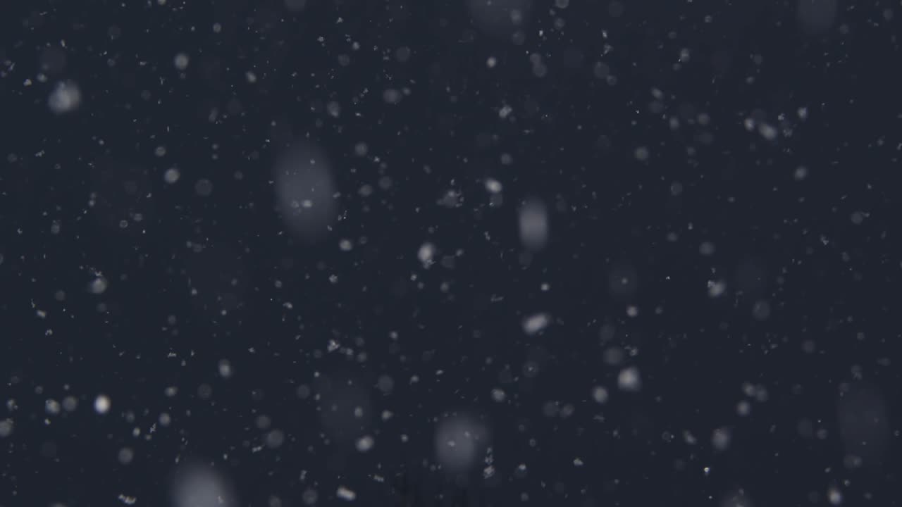 January snowfall in the evening panning downwards from the sky in slow-motion