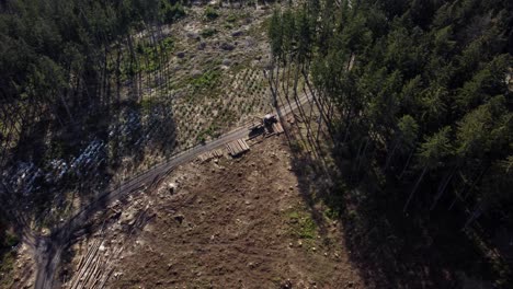 Tractor-loading-harvested-wood-from-the-forest.-Aerial