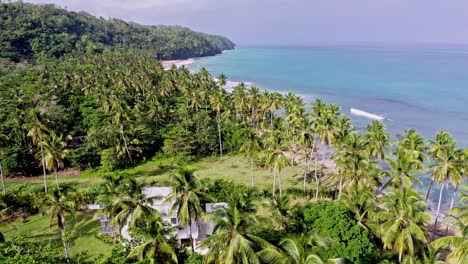 Vista-Aérea-Alrededor-De-Un-Resort-En-Medio-De-Palmeras,-En-La-Costa-De-Las-Terrenas,-República-Dominicana---Dando-Vueltas,-Tiro-De-Drones