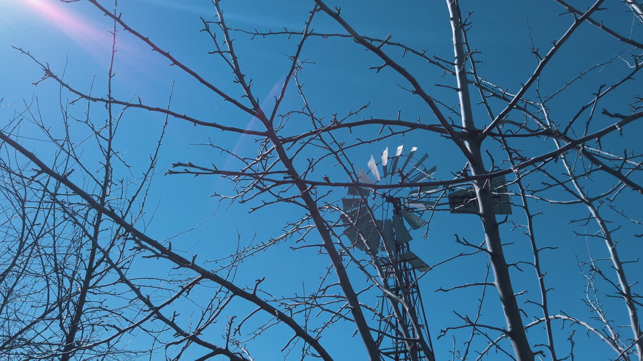 앞면 에 가지 들 이 있는 오래된 풍차, 은 파란색의 은 날, 오스트레일리아