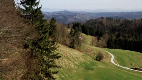 Rustic-winding-road-cuts-through-the-verdant-hills-and-coniferous-trees,-leading-the-eye-to-soft-distant-mountains