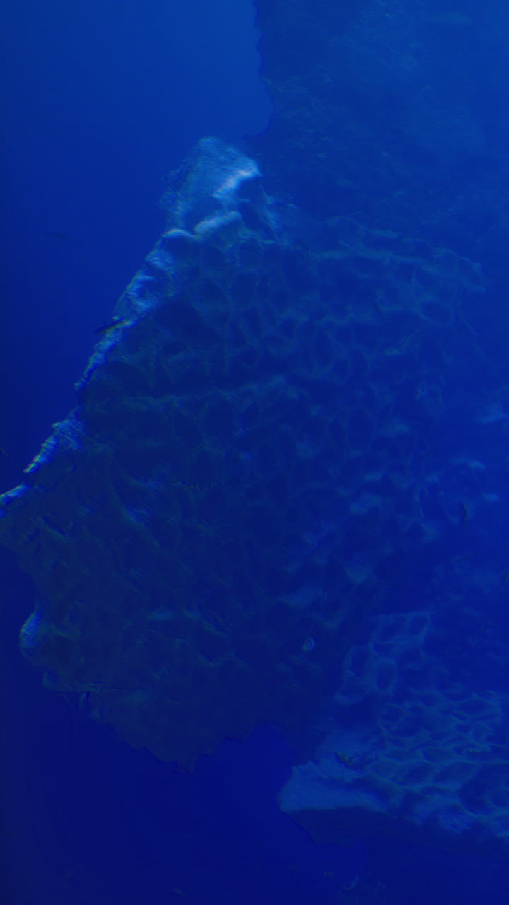 Cena subaquática com um objeto grande em águas profundas e azuis do oceano.