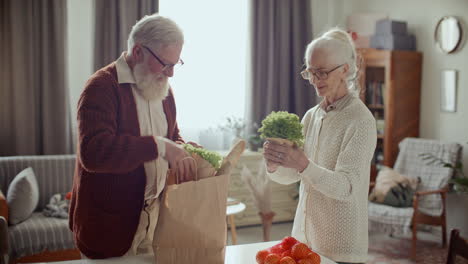 elderly couple unpacking groceries from bag together in cozy living room