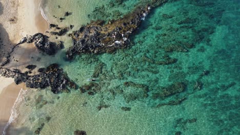 snorkeling paradise: exploring crystal clear waters in 4k