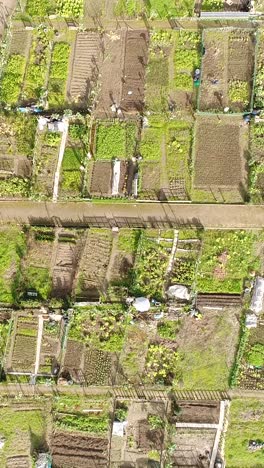 city community garden vertical video