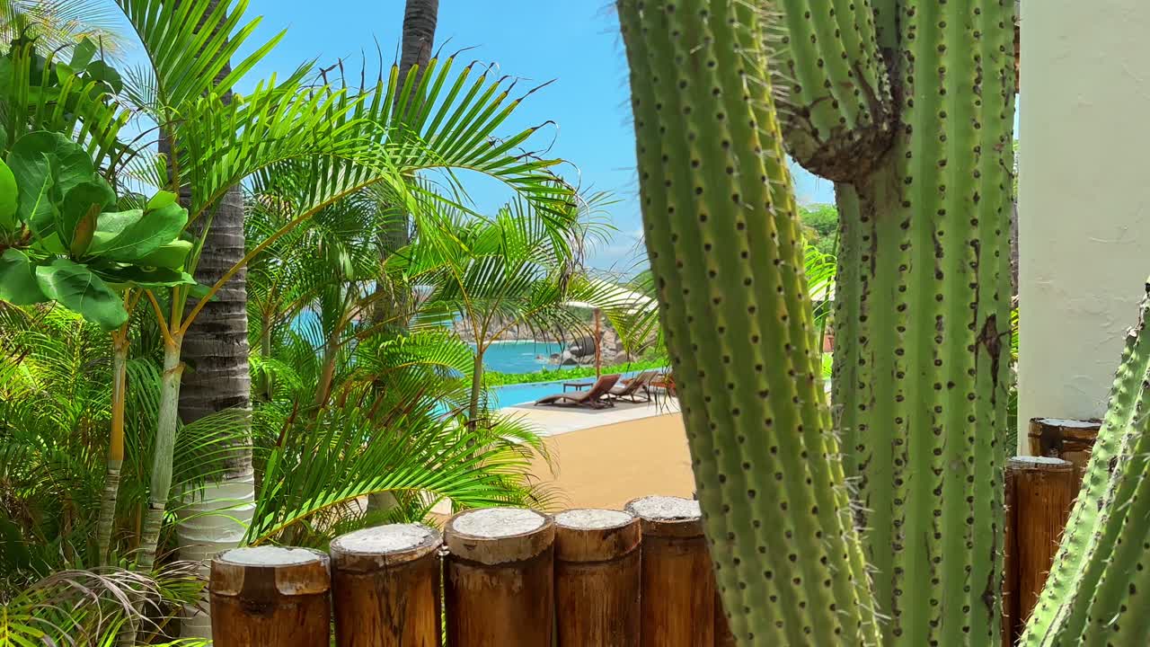 Vista com órbita descendente de uma praia com plantas exóticas em primeiro plano