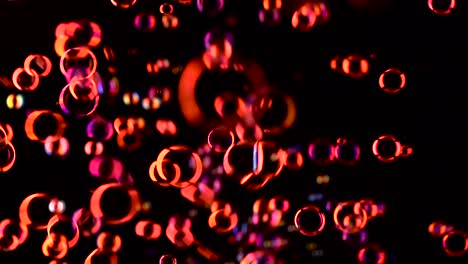 red soap bubbles fly in the air black background many red soap bubbles fly in the air black background