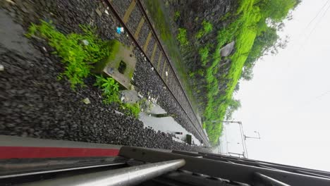 vista de retrato de vegetación desde la ventana del tren