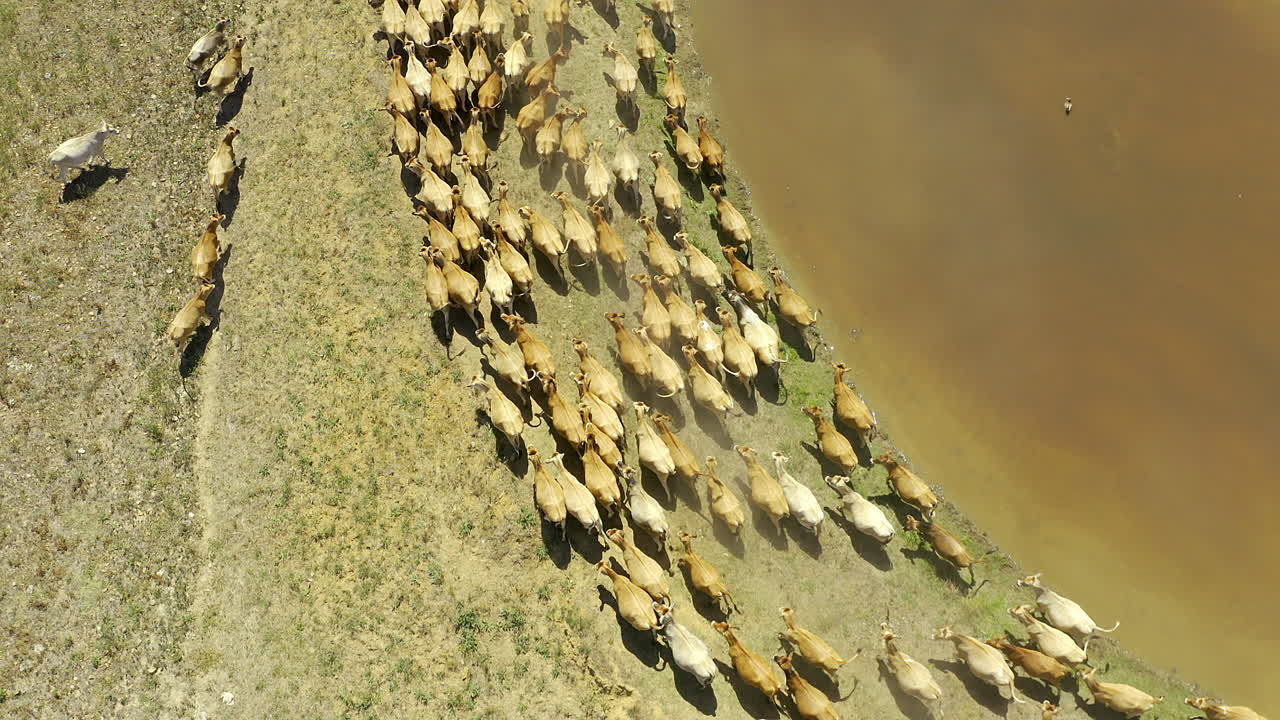 집은 양가 있는 곳이야