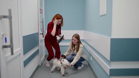 a confident girl veterinarian in a red uniform comes out with a white dog to its owner and talks about the results of the examination at the veterinary clinic