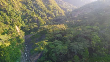 vista aérea del paisaje sobre un arroyo que fluye a través de la selva amazónica vegetación exuberante, en colombia, en una mañana brumosa