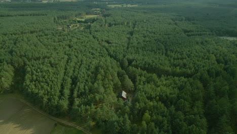 slow aerial fly over a dense green leafy deciduous forest of kowalskie blota village, district of gmina cekcyn, kuyavian-pomeranian voivodeship, in north-central poland, forward motion, drone shot