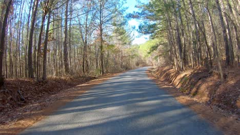 Point-of-view-thru-the-rear-window-while-driving-thru-a-rural-wooded-area-on-a-sunny-winter-day-in-northern-Mississippi,-USA