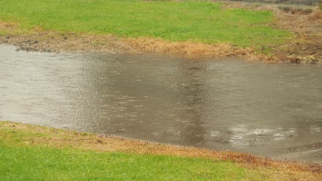 heavy rain flooding footpath, bad weather overcast daytime, maffra, gippsland, victoria, australia