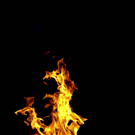 fire flame on the black background. fire in darkness. slow motion