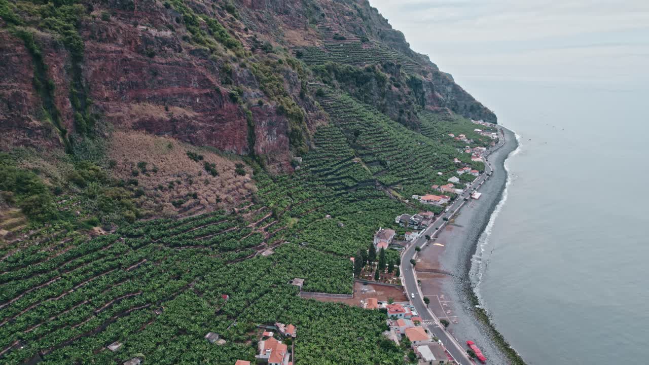 Madeira, platanera junto a una playa, acantilados, océano, toma aérea con dron