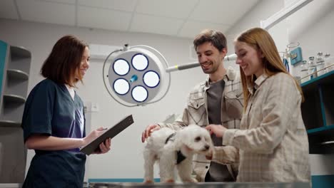 confident brunette veterinarian girl with a tablet in her hands communicates with a happy young couple about their white dog after examination in a veterinary clinic