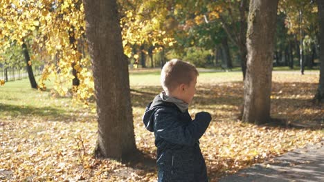 um menino no parque colorido do outono brinca com um avião de papel