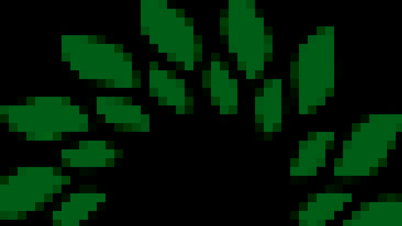 patrón de color en un fondo negro mínimo.