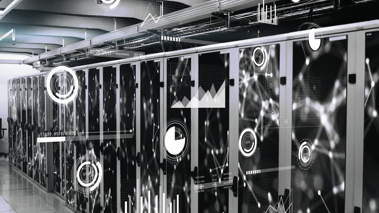 Animation of data processing over computer servers