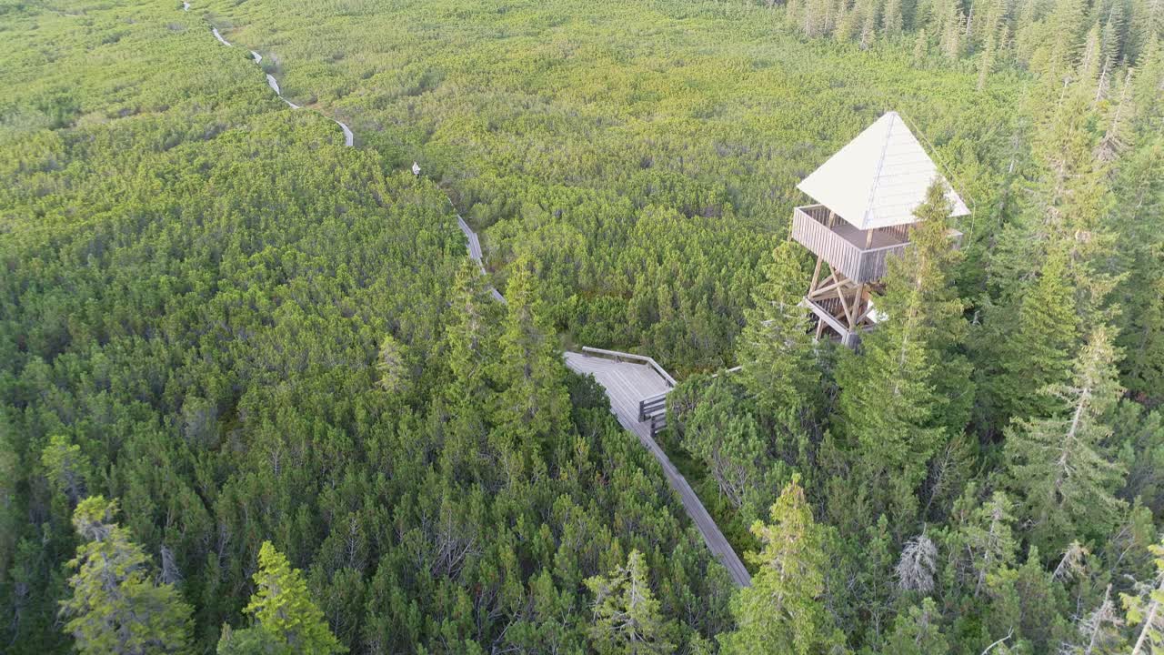 Rising aerial view of rustic tower in forest and hiking trail, Lovrenska Jezera