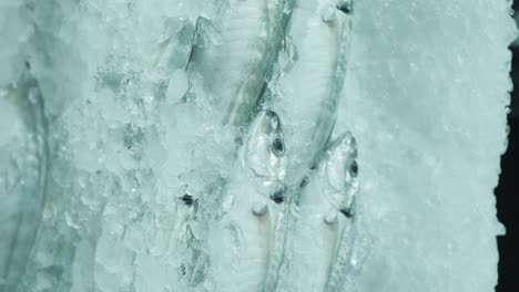 pescado congelado en hielo