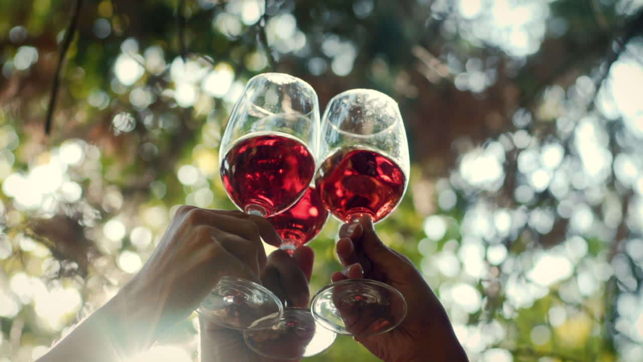 Toasting with Ros&eacute; Wine Glasses on a Sunny Day in Slow Motion