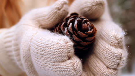 hands in knitted gloves holding a snowy pinecone