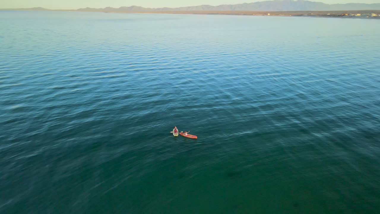 kayaks explorando la playa de baja california