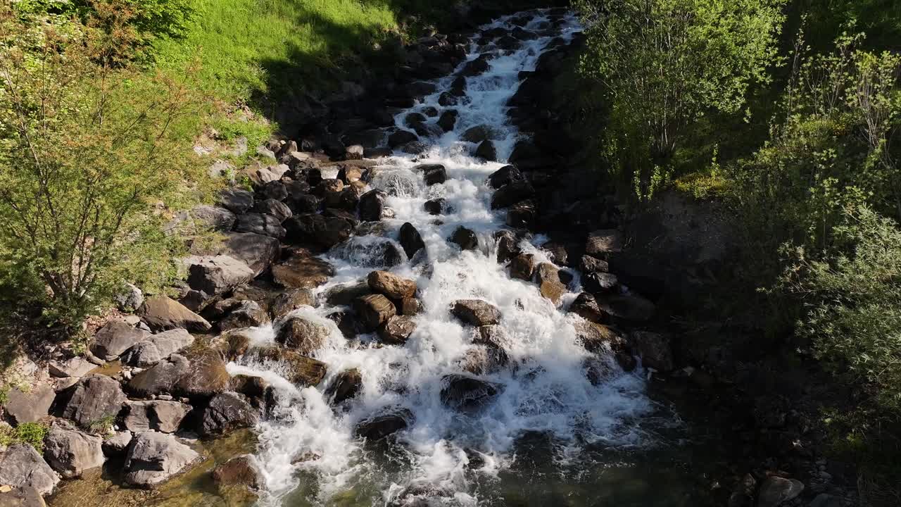 Vivace ruscello di montagna che scende a cascata sulle rocce, circondato da una foresta verde e rigogliosa
