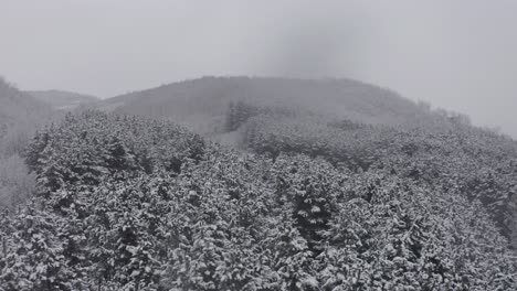 overcast and snowing day by lake drone push in landscape of mountains