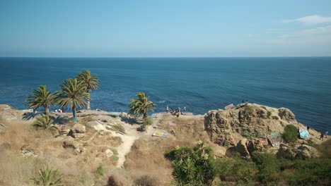 Landscape-Shot,-Scenic-Overlook-over-Gorgeous-Blue-Pacific-Ocean-from-Rocky-California-Cliff-with-Palm-Trees-Swaying-in-Breeze