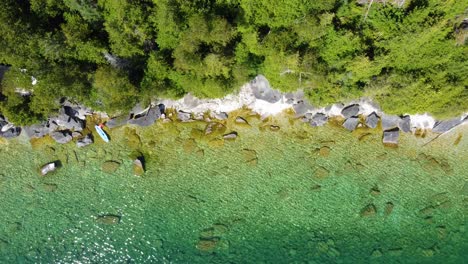 crystal clear lake water near forest, aerial top down view