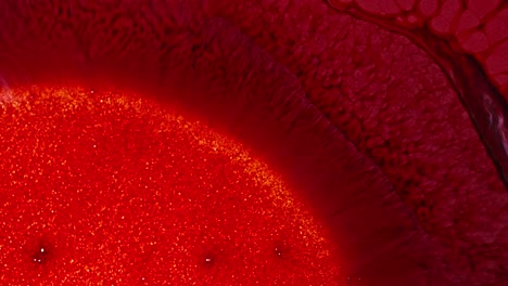 nube de tinta roja abstracta que se expande en el agua con un gradiente de sombras, primer plano